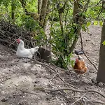 Bauernpfad Апартаменты *